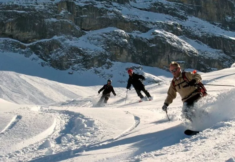 Swiss Alpine Guides Wengen