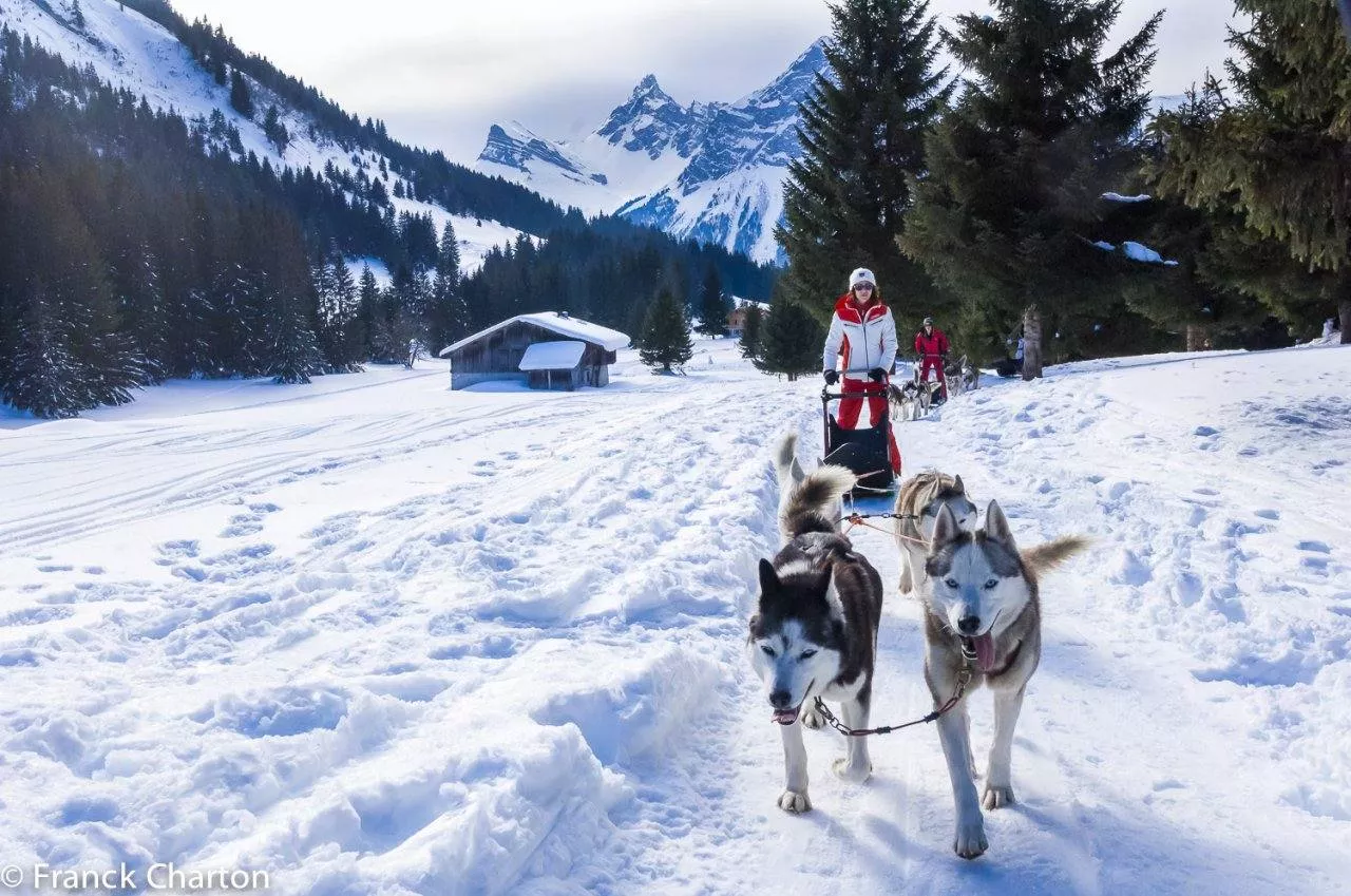 Winter activities in Les Carroz - dog sledding. Credit Franck Charton