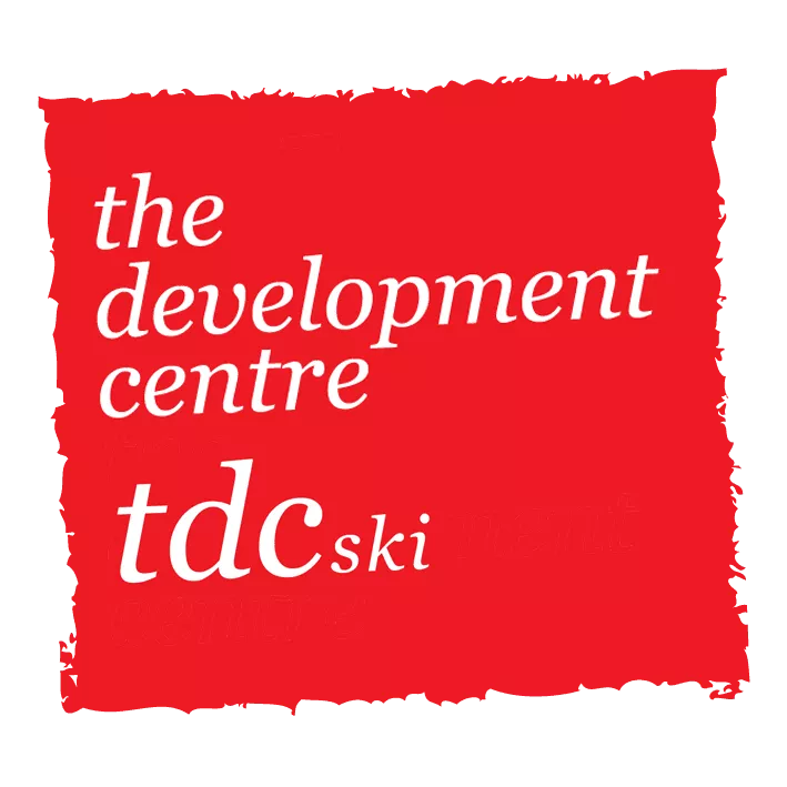 tdcski_logo_upside