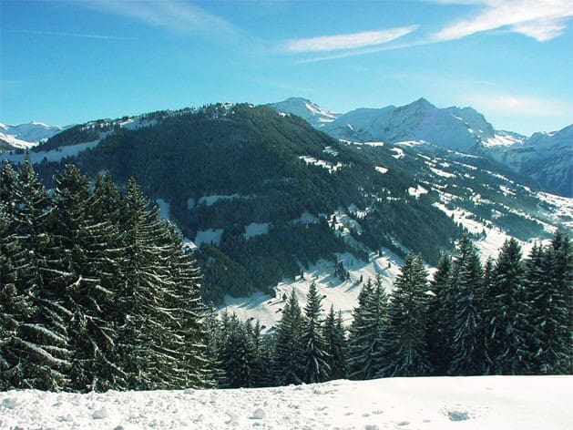 Gstaad Ski Resort Info Guide  Gstaad-Zweisimmen Switzerland Review