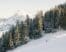 Skiing in Tirol, Austria - A winter wonderland in Kitzbühel's Hahnenkamm Forest. Credit Kitzbuehel Tourismus