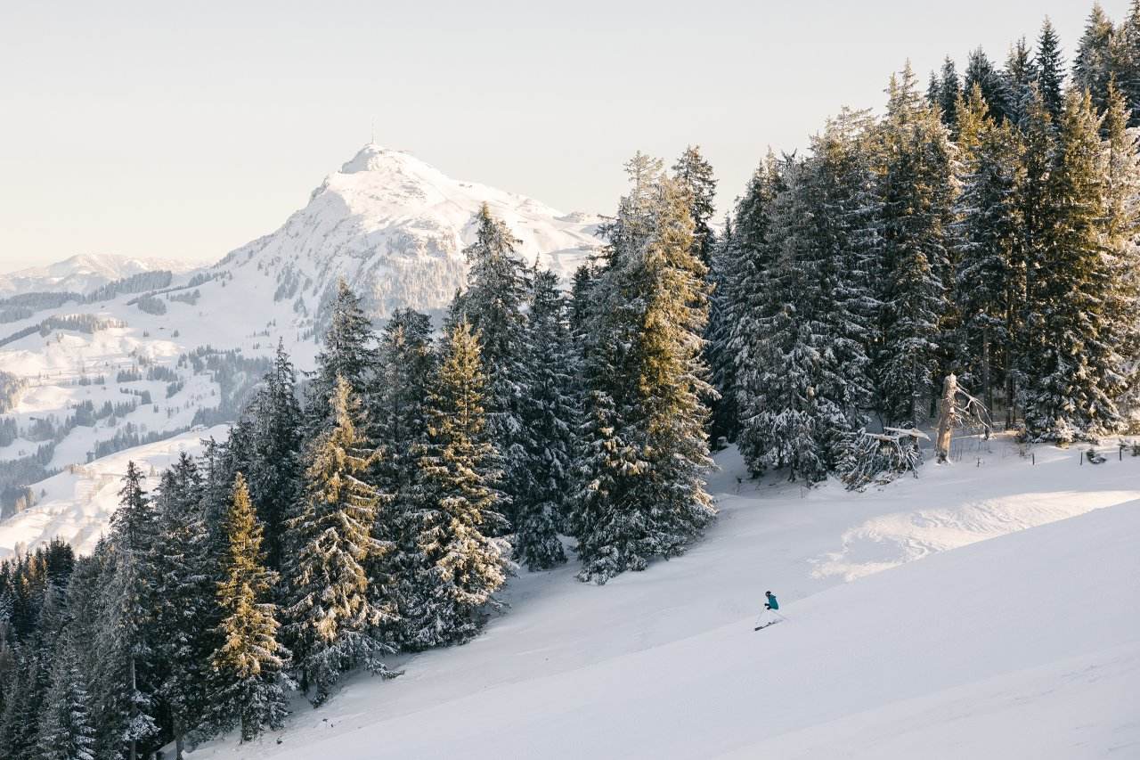 Skiing in Tirol, Austria - A winter wonderland in Kitzbühel's Hahnenkamm Forest. Credit Kitzbuehel Tourismus