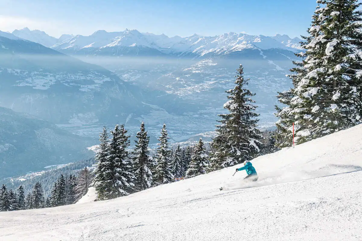 a skier descends a slope, solo, the snow covered trees in the foreground, a snowy valley beyond and below